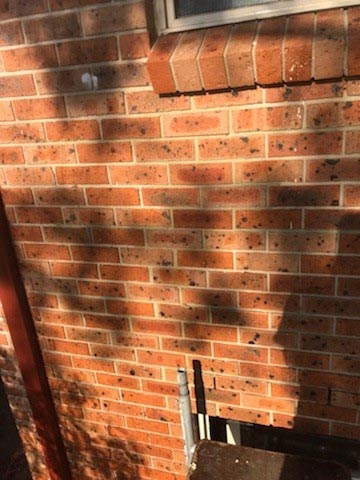 Outer Brickwall - After Remedial